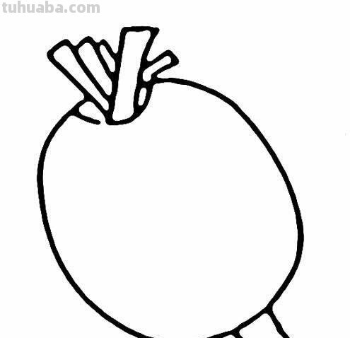 7种蔬菜育儿简笔画，亲子绘画素材，幼儿手抄报素材