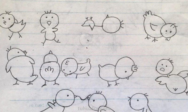 家禽鸡的简笔画