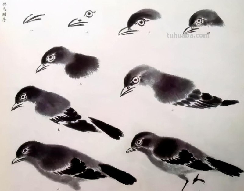 书画鉴赏丨 江寒汀课徒画稿：教你画各类禽鸟