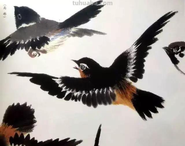 书画鉴赏丨 江寒汀课徒画稿：教你画各类禽鸟