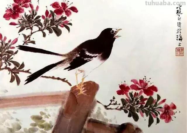 书画鉴赏丨 江寒汀课徒画稿：教你画各类禽鸟