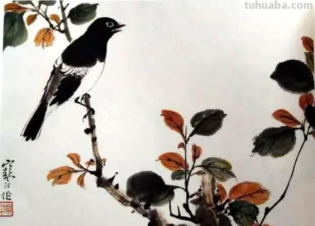 书画鉴赏丨 江寒汀课徒画稿：教你画各类禽鸟