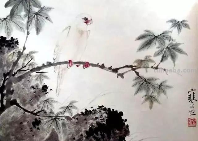 书画鉴赏丨 江寒汀课徒画稿：教你画各类禽鸟