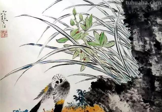 书画鉴赏丨 江寒汀课徒画稿：教你画各类禽鸟