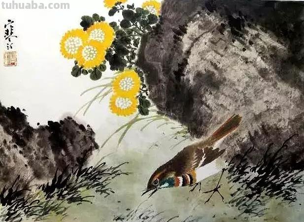 书画鉴赏丨 江寒汀课徒画稿：教你画各类禽鸟