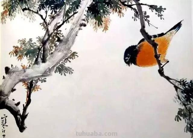 书画鉴赏丨 江寒汀课徒画稿：教你画各类禽鸟