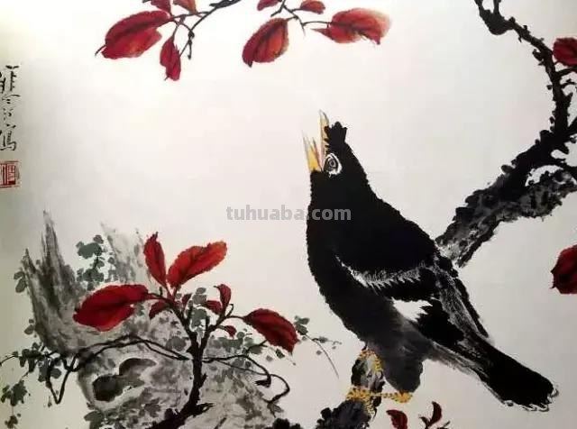 书画鉴赏丨 江寒汀课徒画稿：教你画各类禽鸟