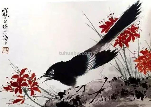 书画鉴赏丨 江寒汀课徒画稿：教你画各类禽鸟
