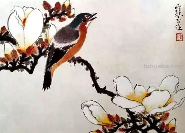 书画鉴赏丨 江寒汀课徒画稿：教你画各类禽鸟