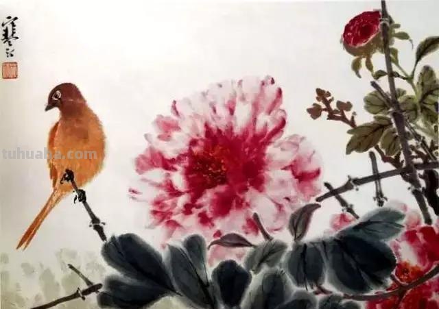书画鉴赏丨 江寒汀课徒画稿：教你画各类禽鸟