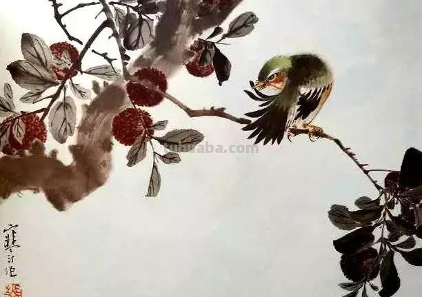 书画鉴赏丨 江寒汀课徒画稿：教你画各类禽鸟