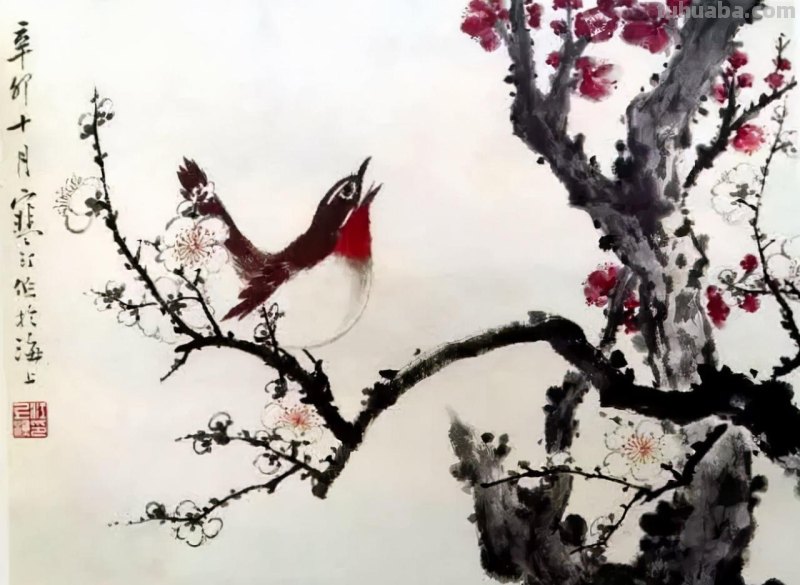 书画鉴赏丨 江寒汀课徒画稿：教你画各类禽鸟