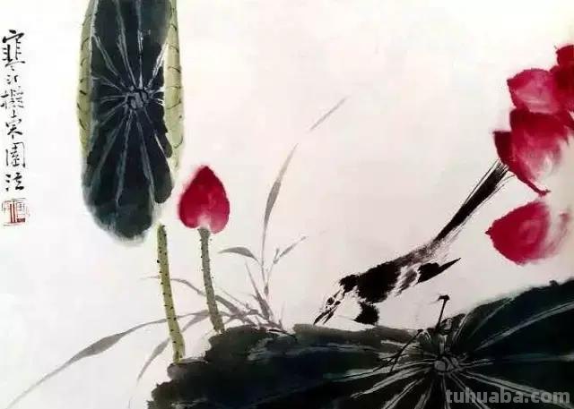 书画鉴赏丨 江寒汀课徒画稿：教你画各类禽鸟