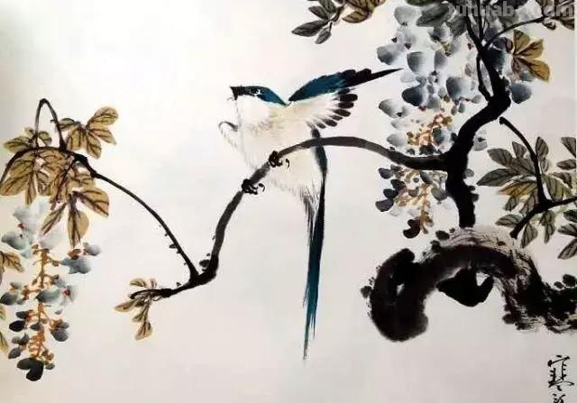 书画鉴赏丨 江寒汀课徒画稿：教你画各类禽鸟