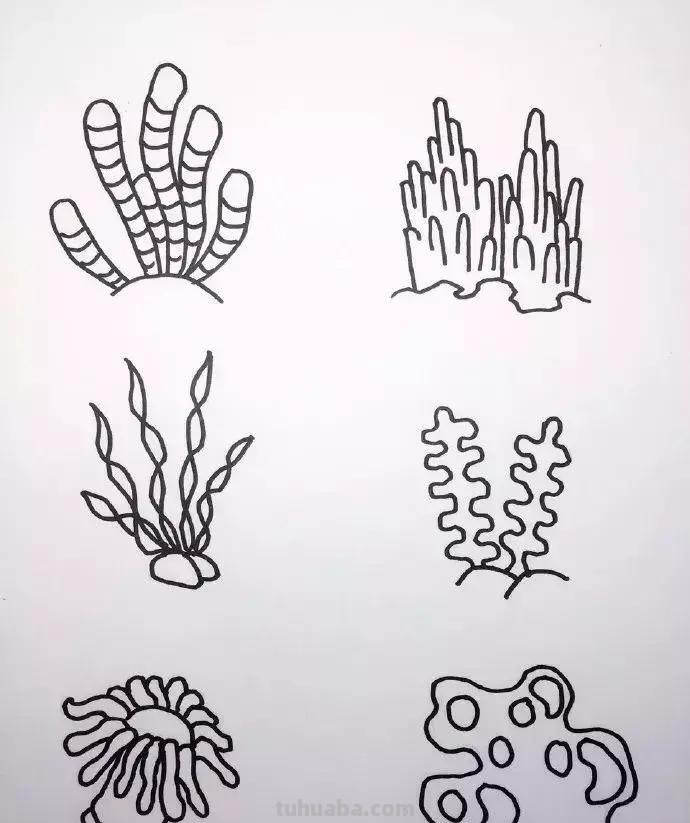 海底世界儿童简笔画来啦！零基础教程，收藏这一篇就够了
