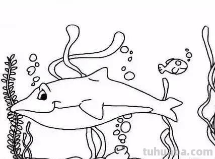 海底世界儿童简笔画来啦！零基础教程，收藏这一篇就够了