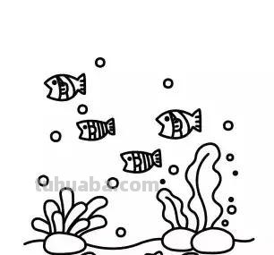 海底世界儿童简笔画来啦！零基础教程，收藏这一篇就够了