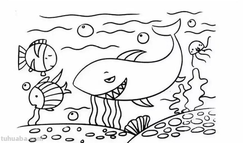 海底世界儿童简笔画来啦！零基础教程，收藏这一篇就够了