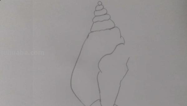 贝壳怎么画简笔画图片(贝壳怎么画简笔画图片大全图片) 贝壳怎么画简笔画图片(贝壳怎么画简笔画图片大全图片)