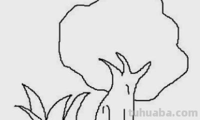 君子兰怎么画简笔画(君子兰怎么画简笔画又漂亮) 君子兰怎么画简笔画(君子兰怎么画简笔画又漂亮)