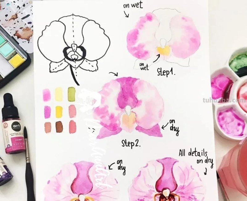 60个简单好画水彩画教程，清新高颜值夏日手账素材分解步骤