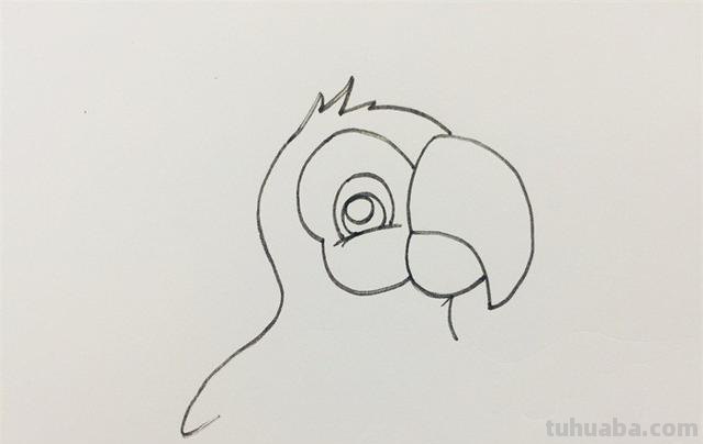 鹦鹉怎么画简笔画图片(鹦鹉怎么画简笔画图片 简单可爱又漂亮) 鹦鹉怎么画简笔画图片(鹦鹉怎么画简笔画图片 简单可爱又漂亮)