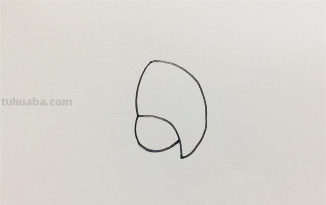 鹦鹉怎么画简笔画图片（鹦鹉怎么画简笔画图片 简单可爱又漂亮）