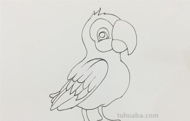 鹦鹉怎么画简笔画图片(鹦鹉怎么画简笔画图片 简单可爱又漂亮) 鹦鹉怎么画简笔画图片(鹦鹉怎么画简笔画图片 简单可爱又漂亮)