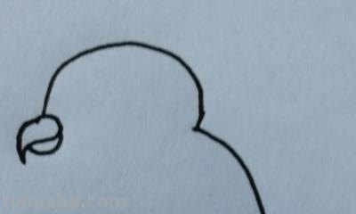 鹦鹉怎么画简笔画图片(鹦鹉怎么画简笔画图片 简单可爱又漂亮) 鹦鹉怎么画简笔画图片(鹦鹉怎么画简笔画图片 简单可爱又漂亮)
