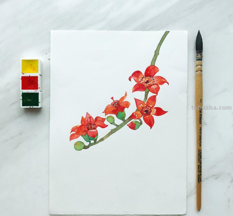 水彩入门工具：分享自己平时画水彩常用的工具（附水彩练习作品）