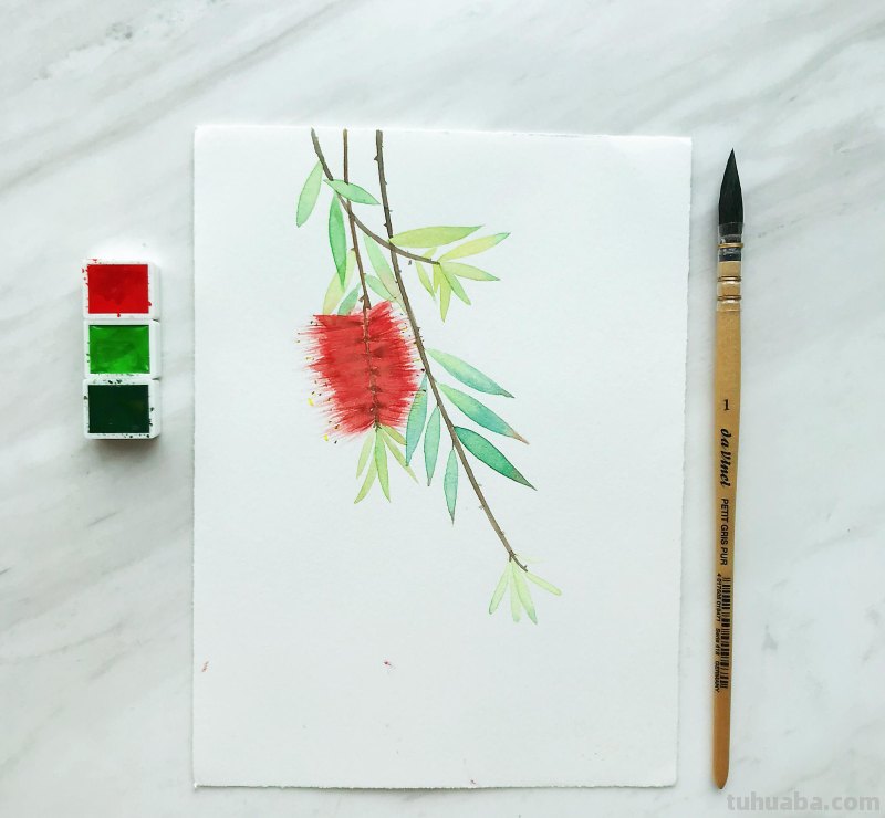 水彩入门工具：分享自己平时画水彩常用的工具（附水彩练习作品）