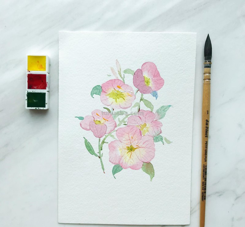 水彩入门工具：分享自己平时画水彩常用的工具（附水彩练习作品）
