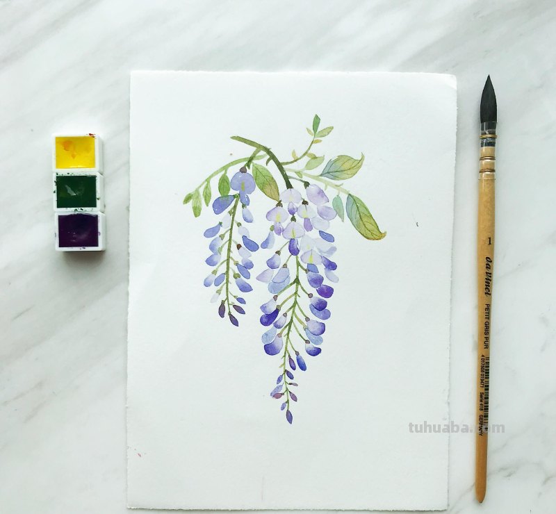 水彩入门工具：分享自己平时画水彩常用的工具（附水彩练习作品）