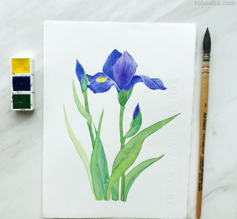 水彩入门工具：分享自己平时画水彩常用的工具（附水彩练习作品）