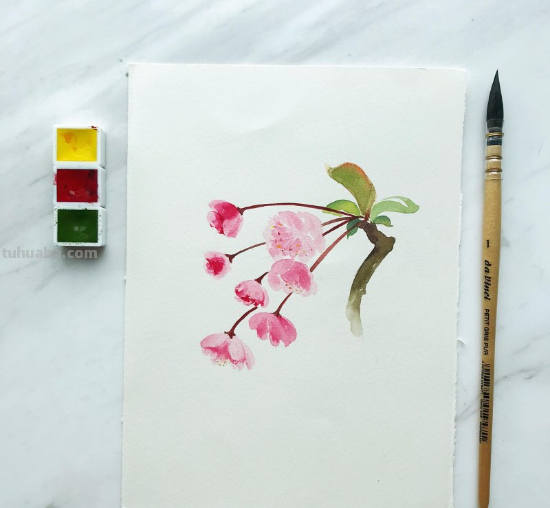 水彩入门工具：分享自己平时画水彩常用的工具（附水彩练习作品）