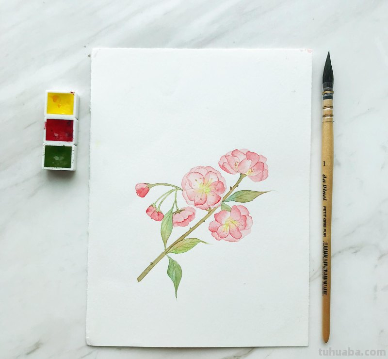 水彩入门工具：分享自己平时画水彩常用的工具（附水彩练习作品）