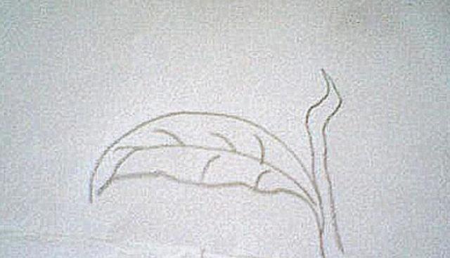 茶怎么画简笔画图片(茶怎么画简笔画图片大全) 茶怎么画简笔画图片(茶怎么画简笔画图片大全)