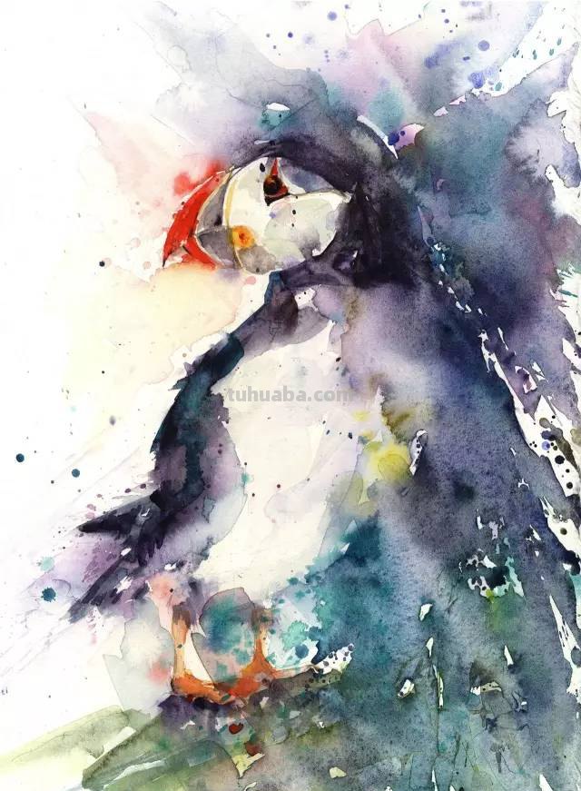 水彩｜这样的颜色搭配画出的动物也是一绝！