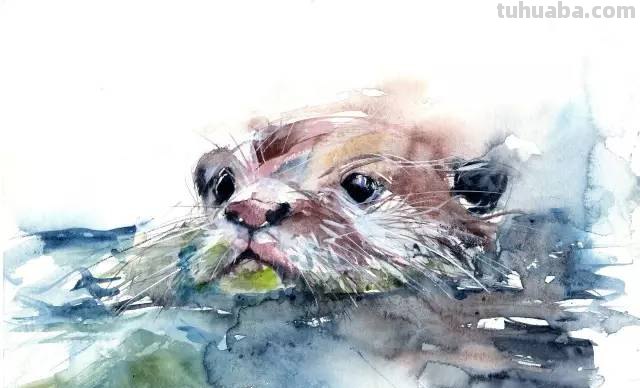 水彩｜这样的颜色搭配画出的动物也是一绝！