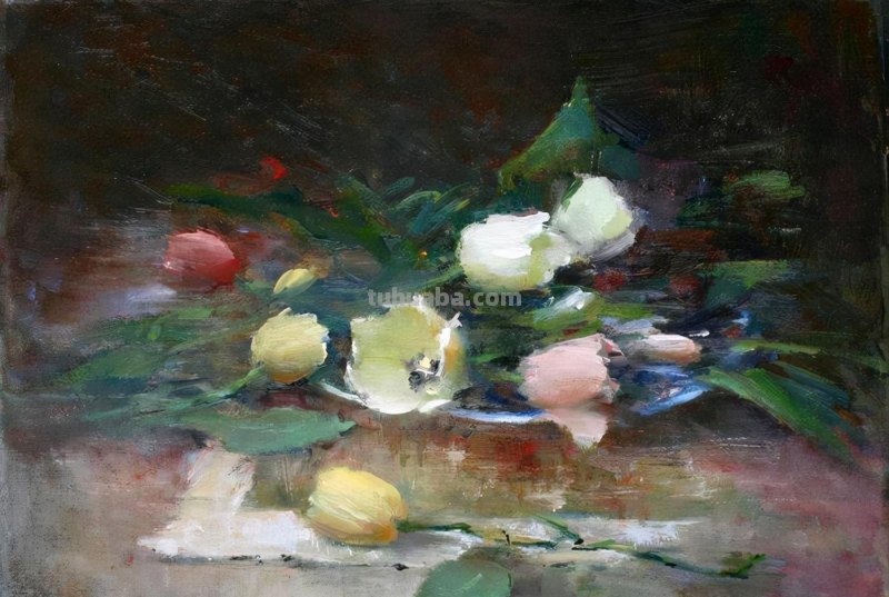 Patricia Rohrbacher花卉静物绘画作品