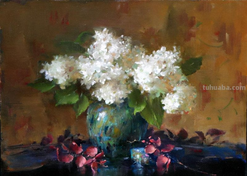 Patricia Rohrbacher花卉静物绘画作品