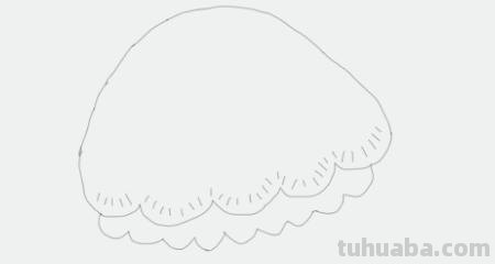 水母怎么画简笔画图片(水母怎么画简笔画图片 画法) 水母怎么画简笔画图片(水母怎么画简笔画图片 画法)