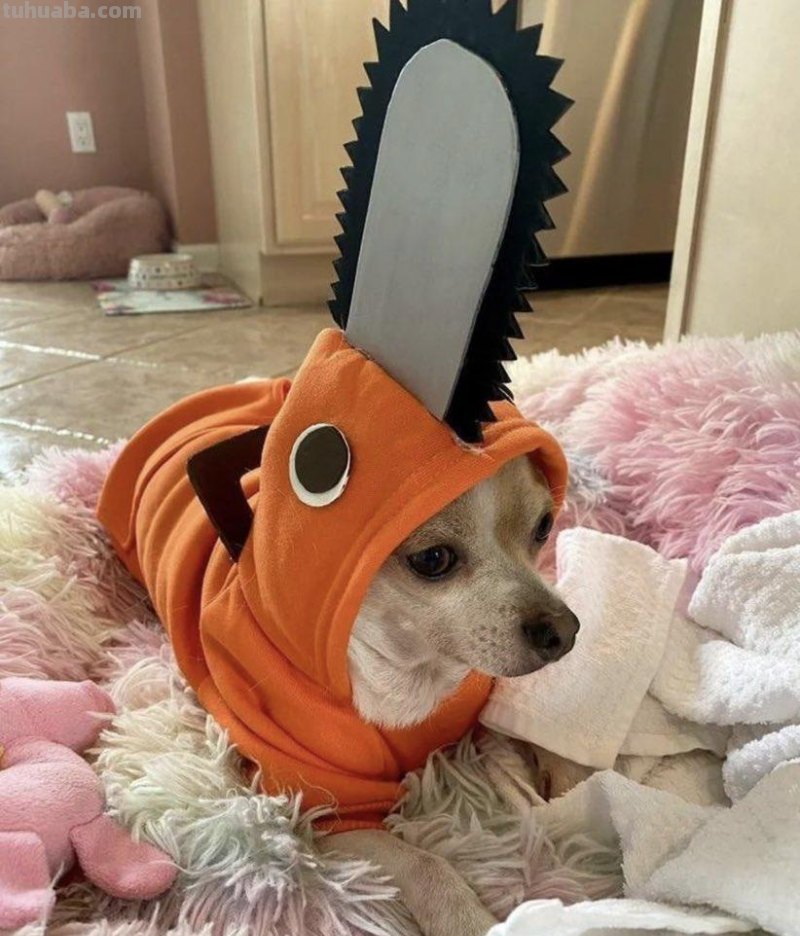 全球网红万圣节cosplay大赏，附带彩蛋福利