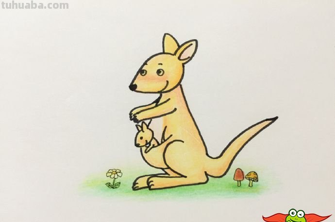 袋鼠怎么画简笔画图片(袋鼠怎么画简笔画图片大全) 袋鼠怎么画简笔画图片(袋鼠怎么画简笔画图片大全)