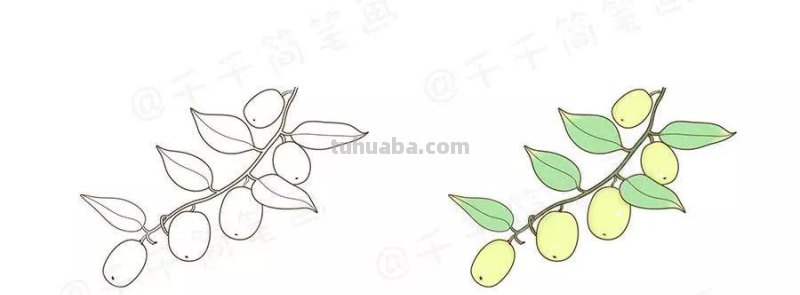 10种常见水果简笔画，看一遍就会！