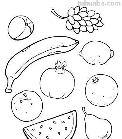 水果简笔画很难画？教你14种水果简笔画，简单易学，收藏起来临摹