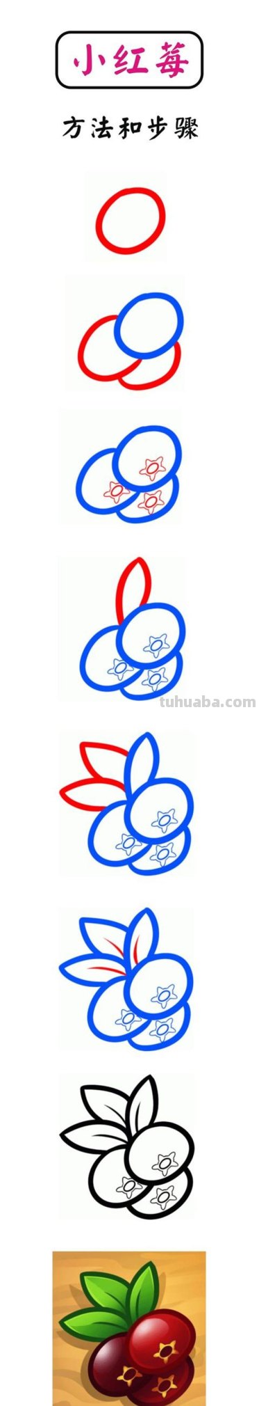 儿童简笔画：一步一步教您13种水果的画法