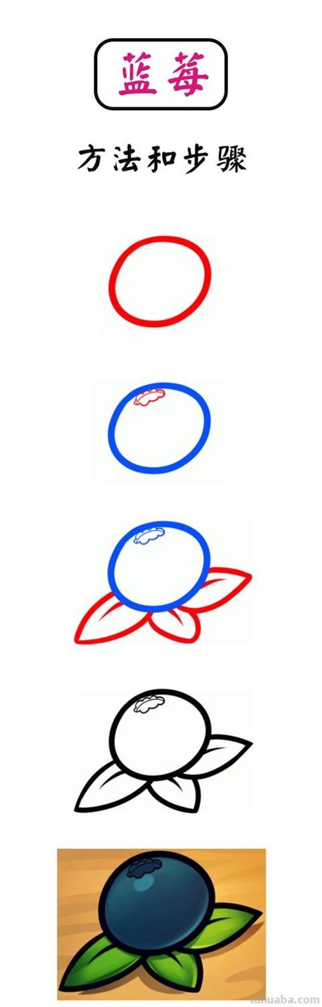 儿童简笔画：一步一步教您13种水果的画法
