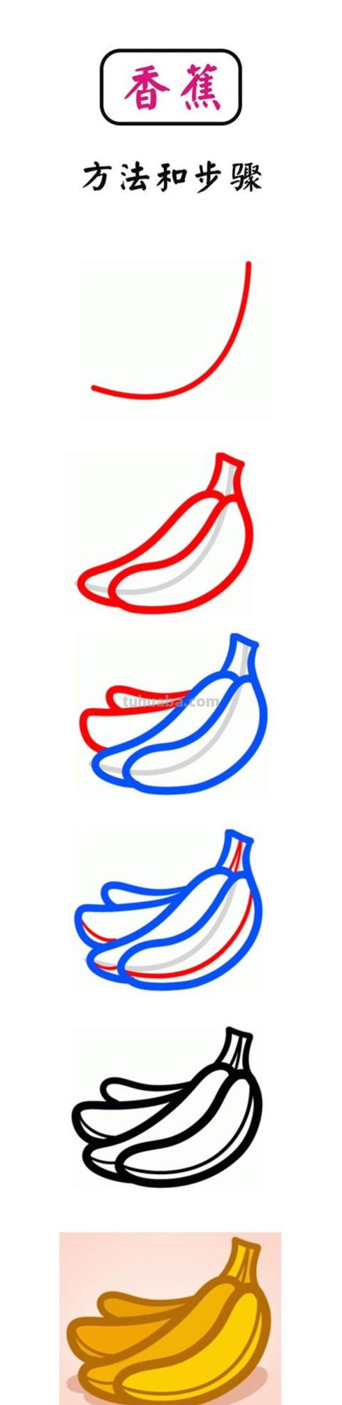 儿童简笔画：一步一步教您13种水果的画法