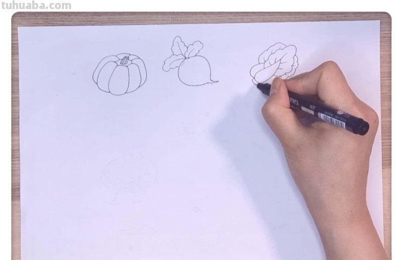 三分钟学会的卡通简笔画：蔬菜